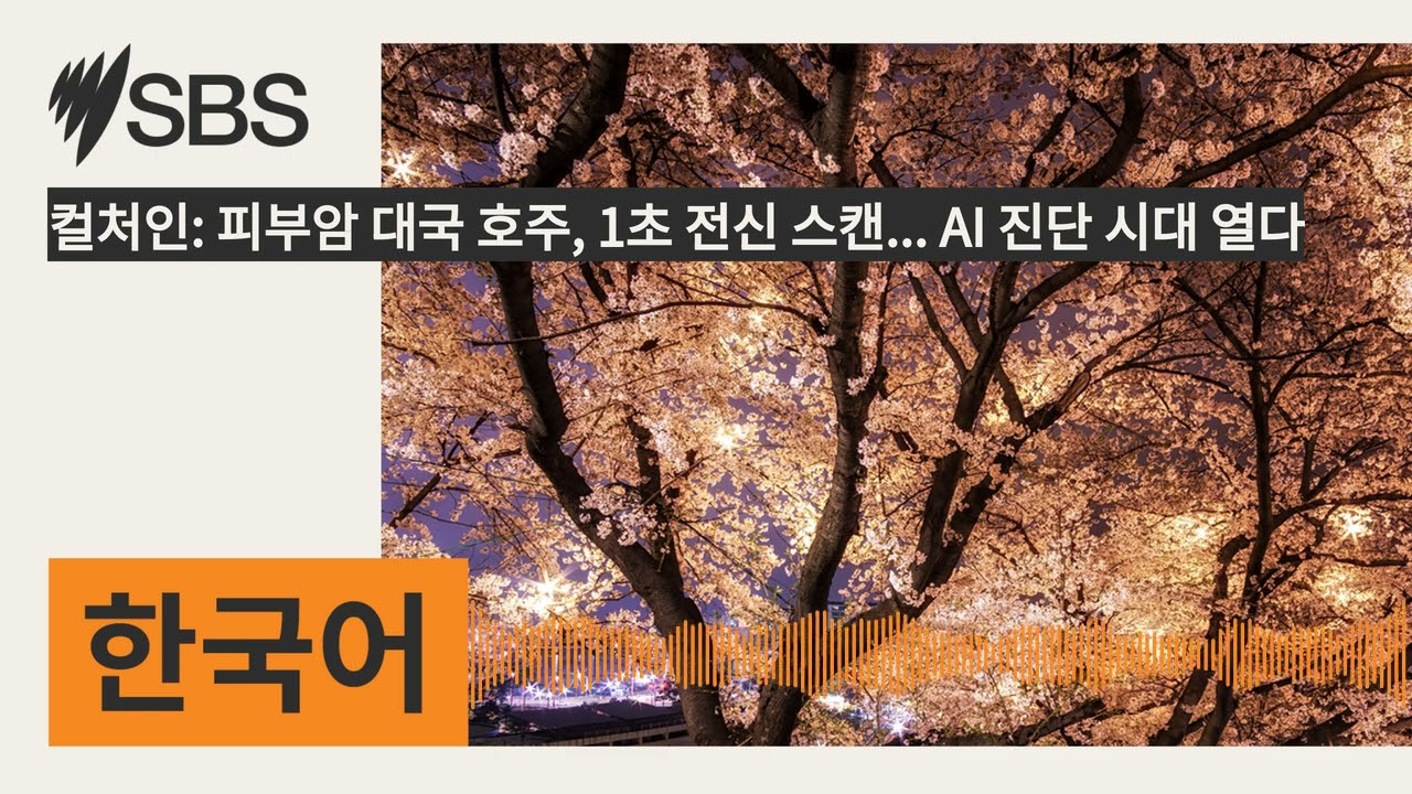 컬처인: 피부암 대국 호주, 1초 전신 스캔... AI 진단 시대 열다 | SBS Korean - SBS 한국어 프로그램