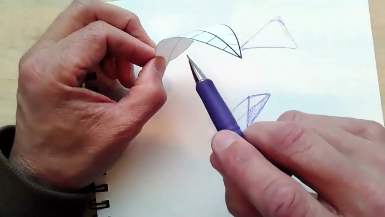 Drawing Curling Petals and Leaves