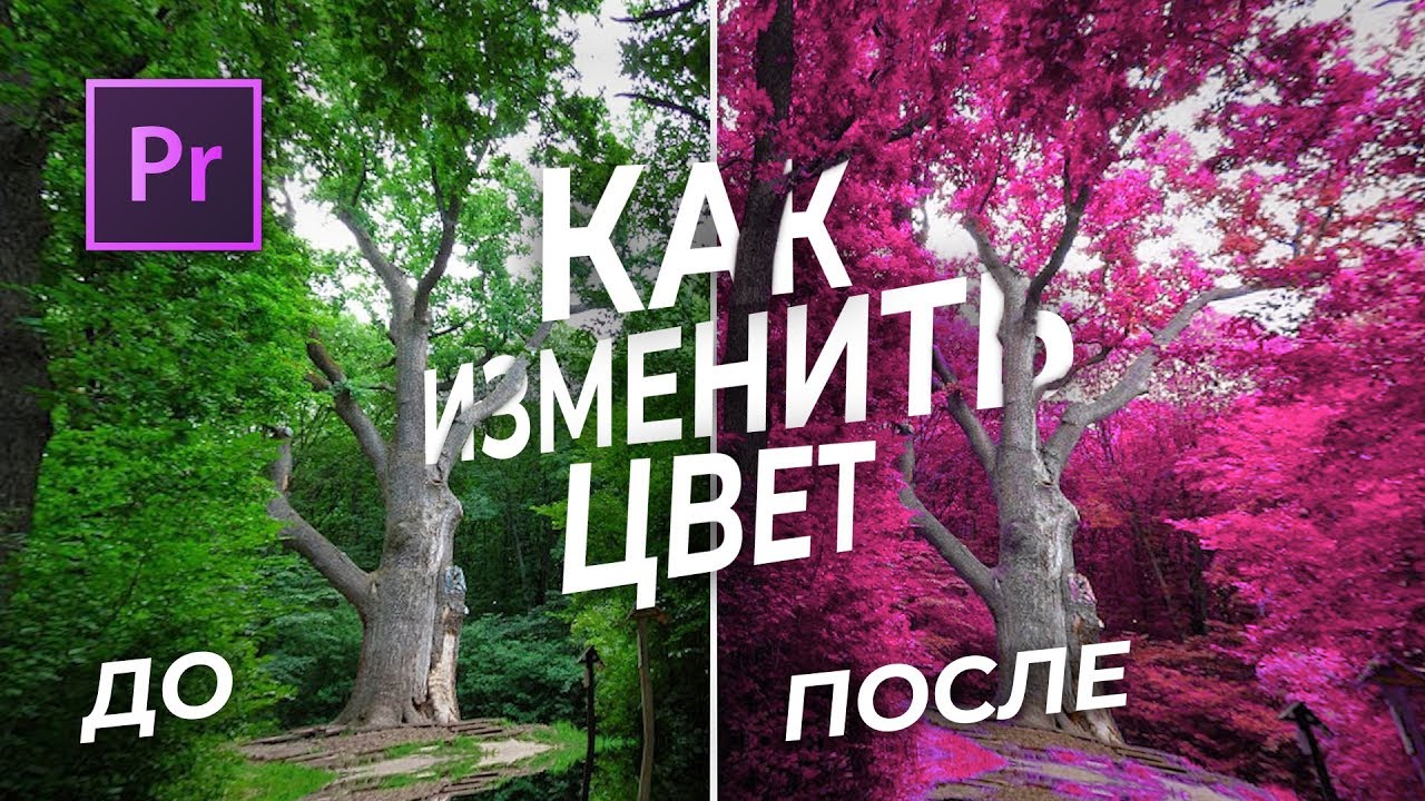 Как Делают ТАКИЕ видео - Розовая трава. Adobe Premiere pro CC