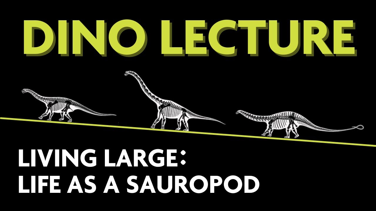 Living Large: Life as a Sauropod - Dino Lecture 2023