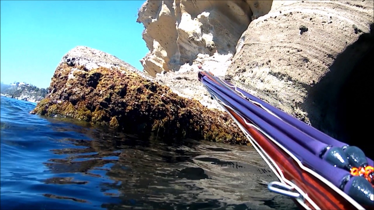 Schiacchetiello (punta pennata)