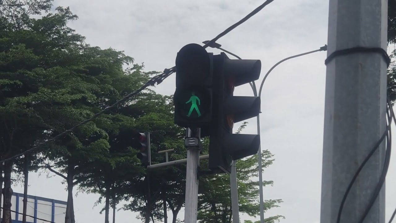Traffic Light Sound - Jalan Penchala, Petaling Jaya, Selangor Darul Ehsan, Malaysia (3)