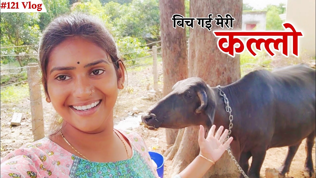बिच गई Tiktok के जमाने वाली कल्लो 🥲 Shivani kumari