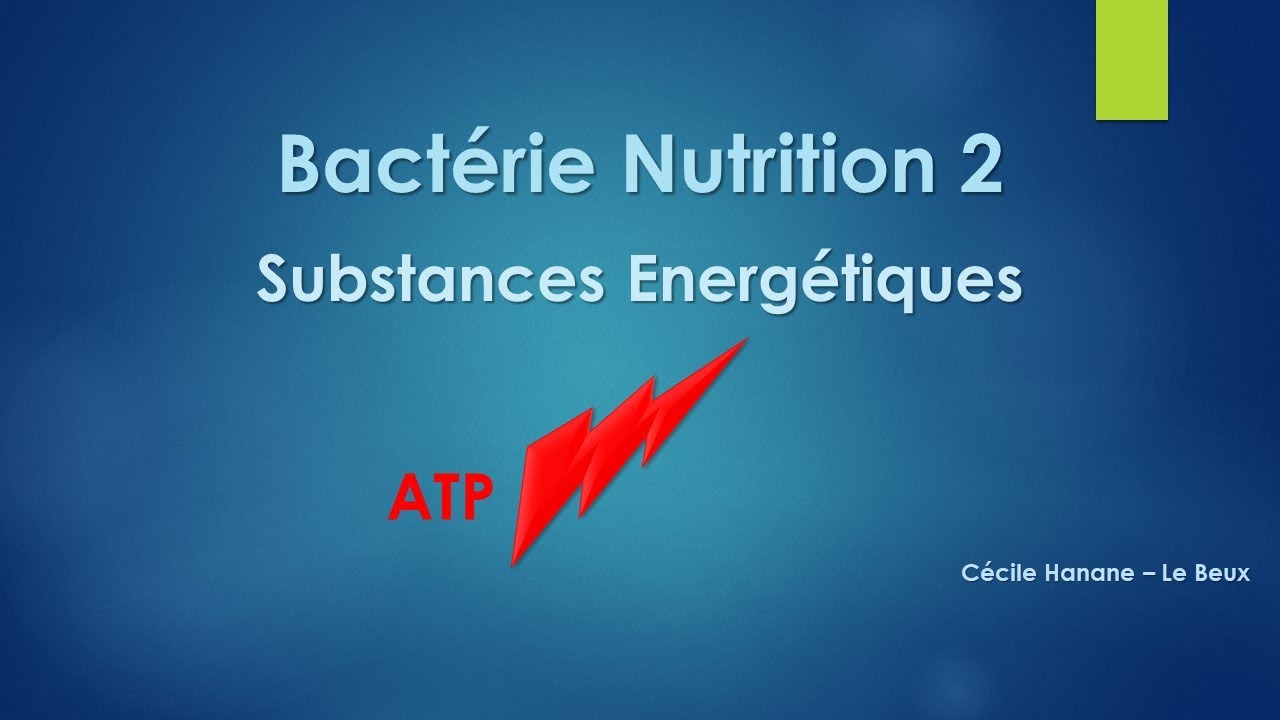 Bactérie Nutrition 2 SUBSTANCES ENERGETIQUES