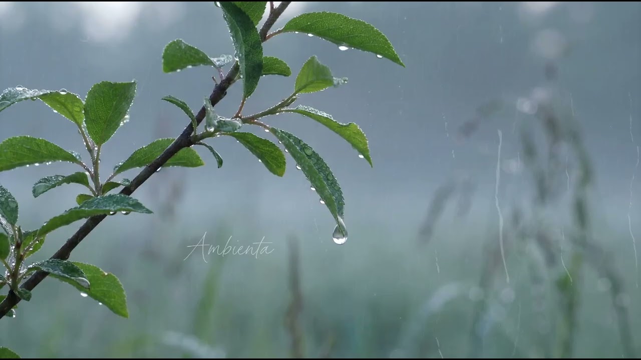 Piano Music To Enhance Your Creativity And Productivity Flow | Ambienta