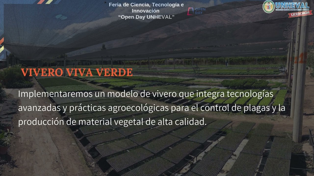 VIVERO VIVA VERDE