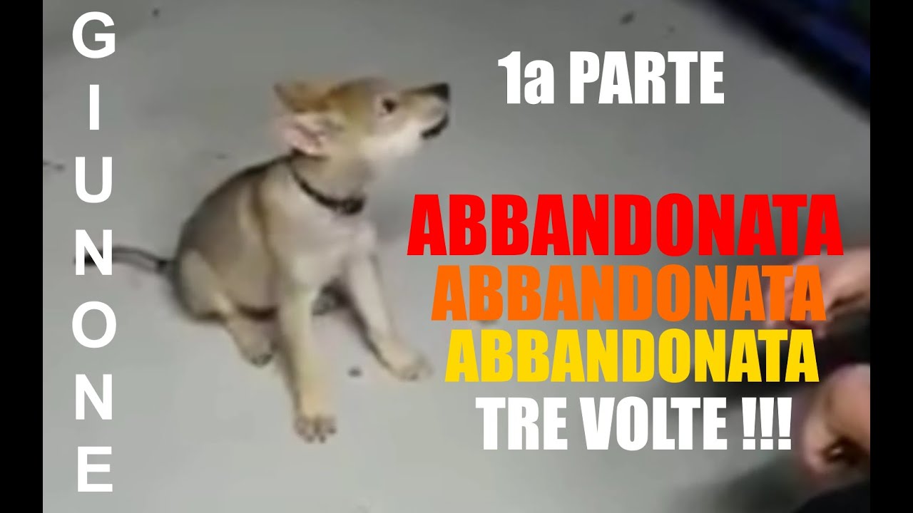 La storia di Giunone (1a parte)
