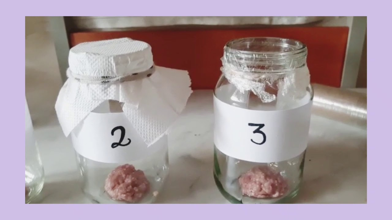 EXPERIMENTO GENERACI&Oacute;N ESPONT&Aacute;NEA🧪  | FRANCISCO REDI