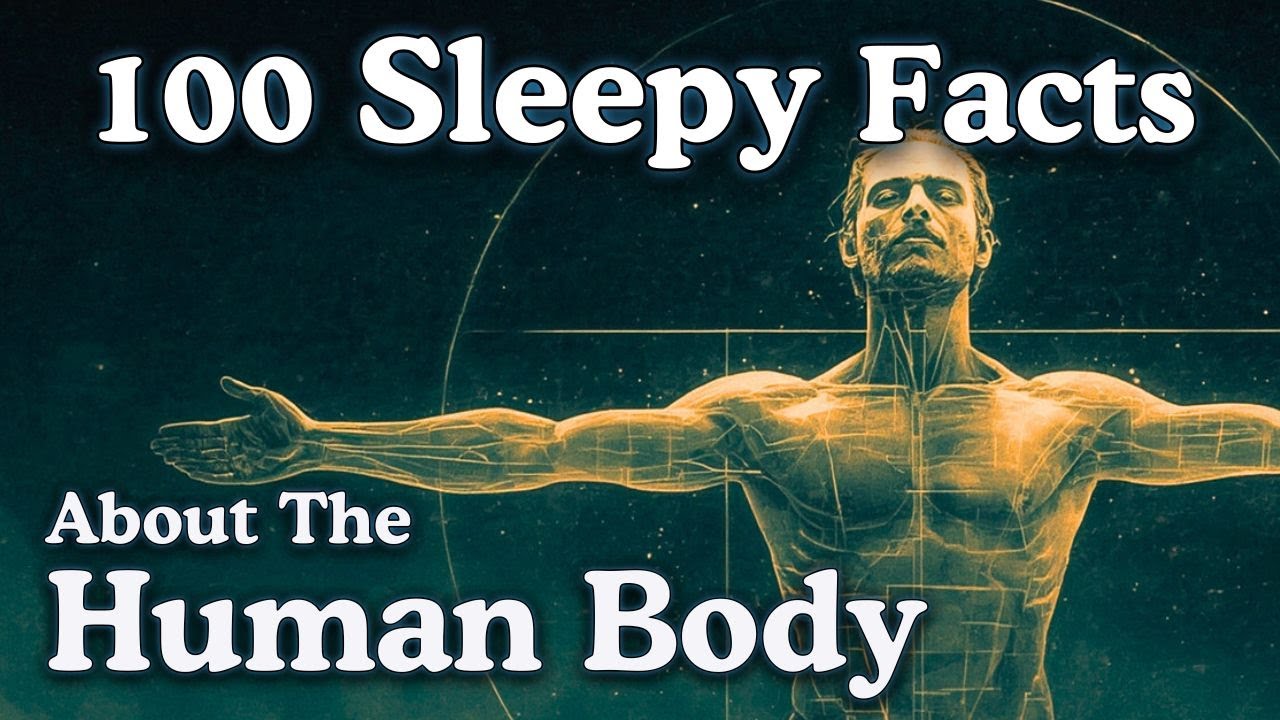 The Most Relaxing Facts About The Human Body to Fall Asleep To