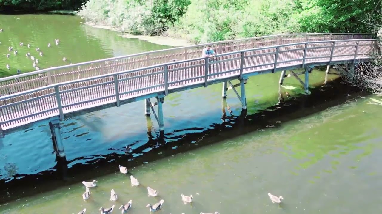 الطبيعة جميلة تصوير drone dji mini 3 pro