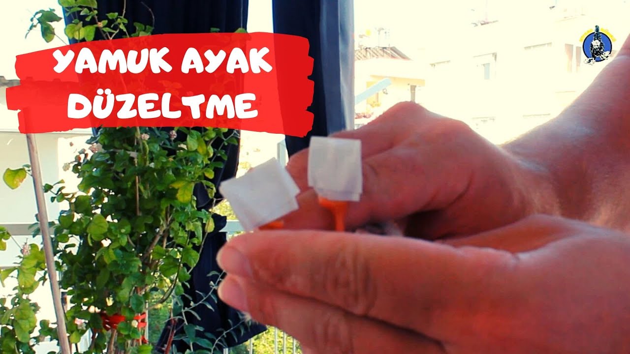 AYAĞI YAMUK DOĞAN CİVCİVE İLK YARDIM