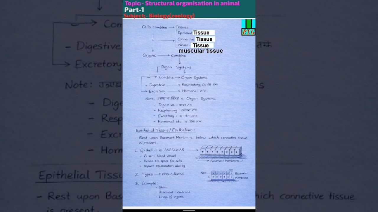 Chapter:- Structure organisation in Animal |class:-|part:-1|