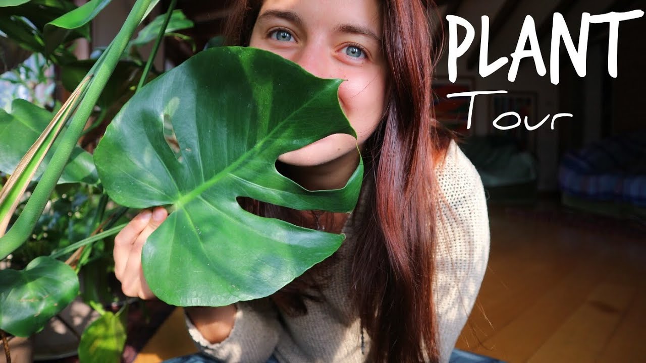 PLANT TOUR 🌿 Marzo 2019