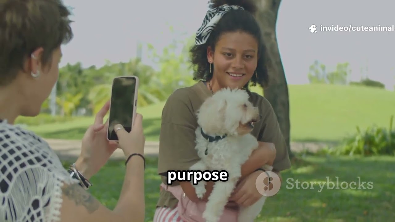 "How Many Dog Breeds Are There?" 