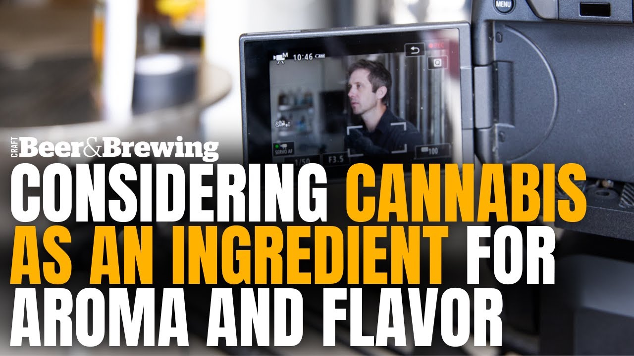 [Brewing Tip] Considering Cannabis as an Ingredient for Aroma and Flavor