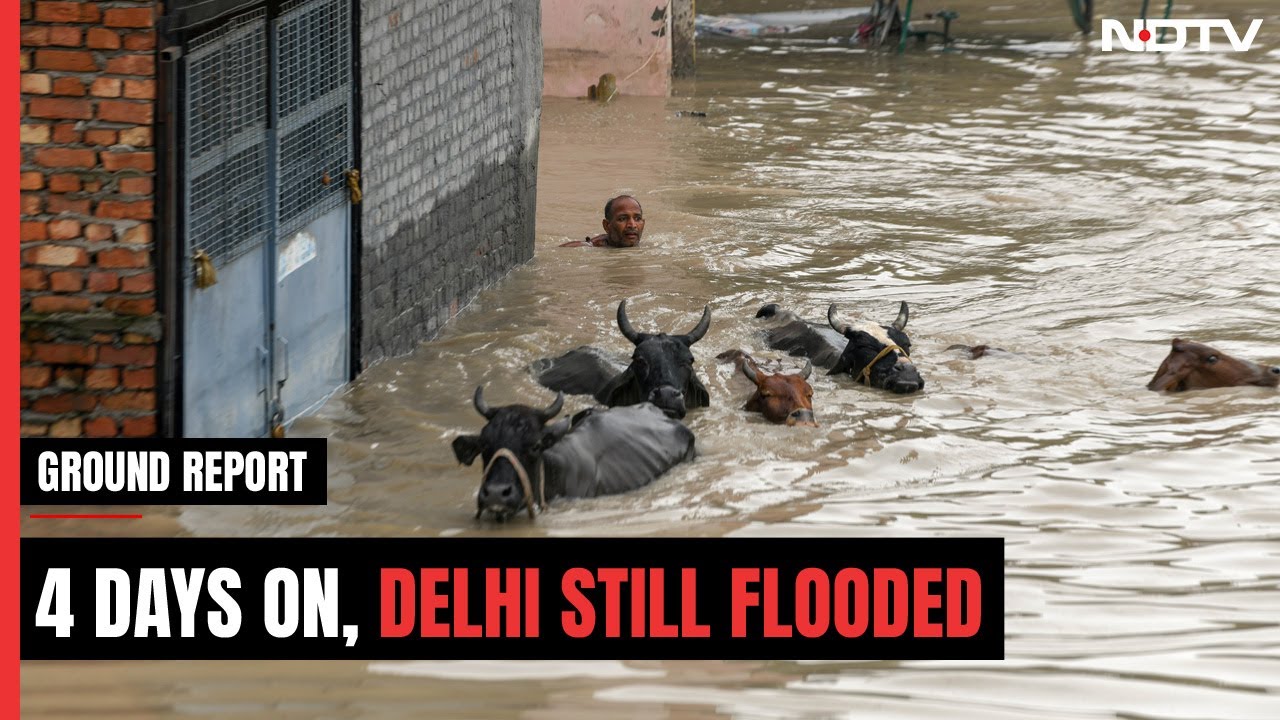 Delhi Flood: Low-Lying Areas In Delhi Still Flooded | Ground Report