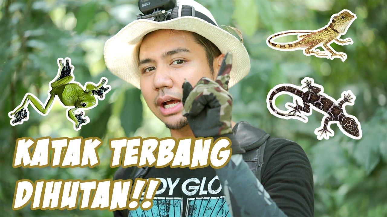 KATAK DAN CICAK DI HUTAN PERAK