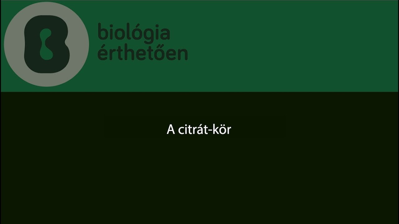 Citrátkör