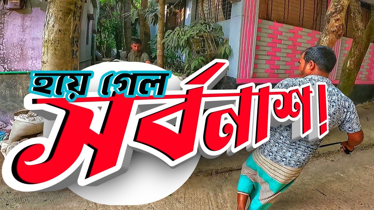 খামারের নতুন সদস্যকে আনতে গিয়ে ঘটে গেল ঘটনা || Purbasha Agro