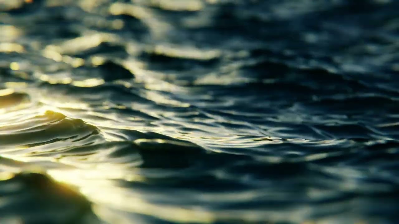 8 Hours Ocean Waves 🌊 Relaxing Sea Sounds for Sleep & Meditation