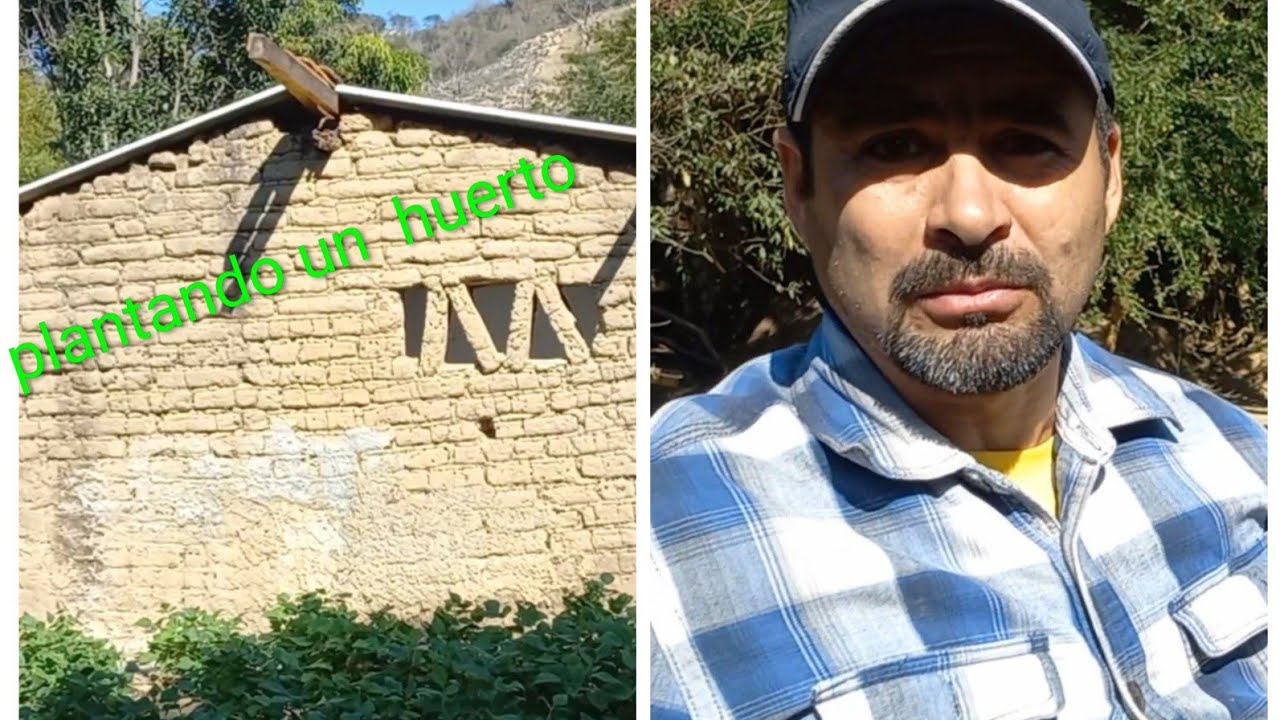 Empezamos a plantar nuestro huerto en casa
