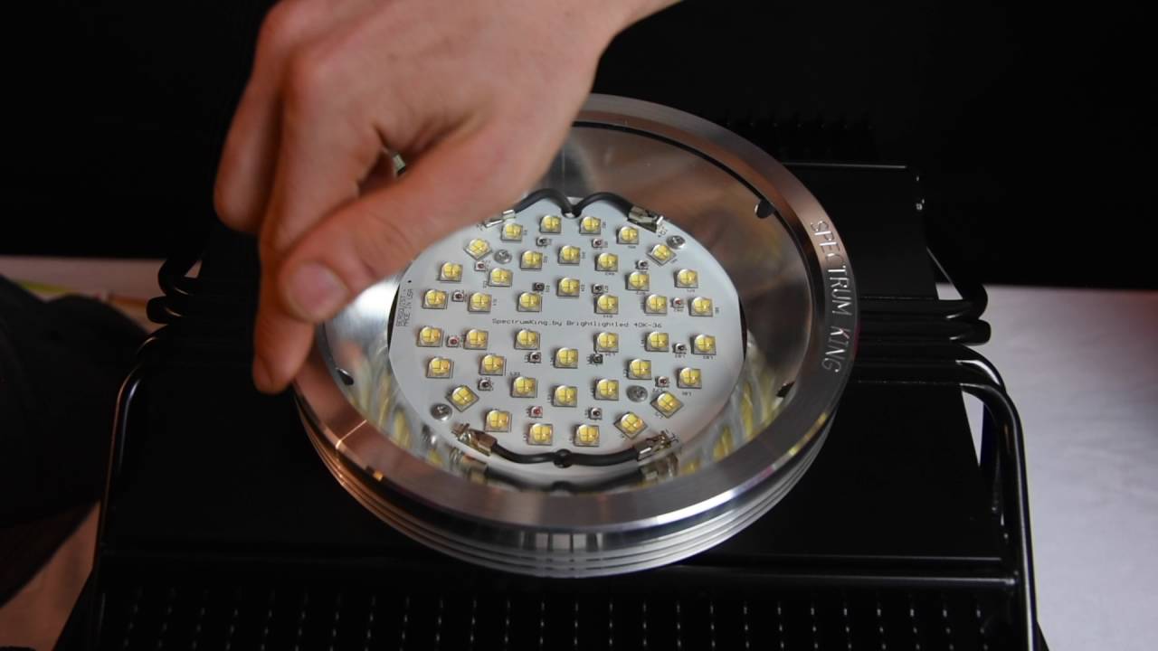 Spectrum King 400 + LED - Unboxing