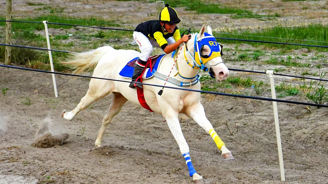 TORNEIO NATALINO - Corrida de Cavalos - Classificatórias e a grande final