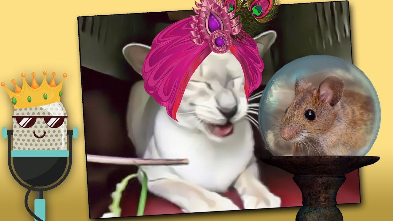 Kitty is a Very BAD Mystic