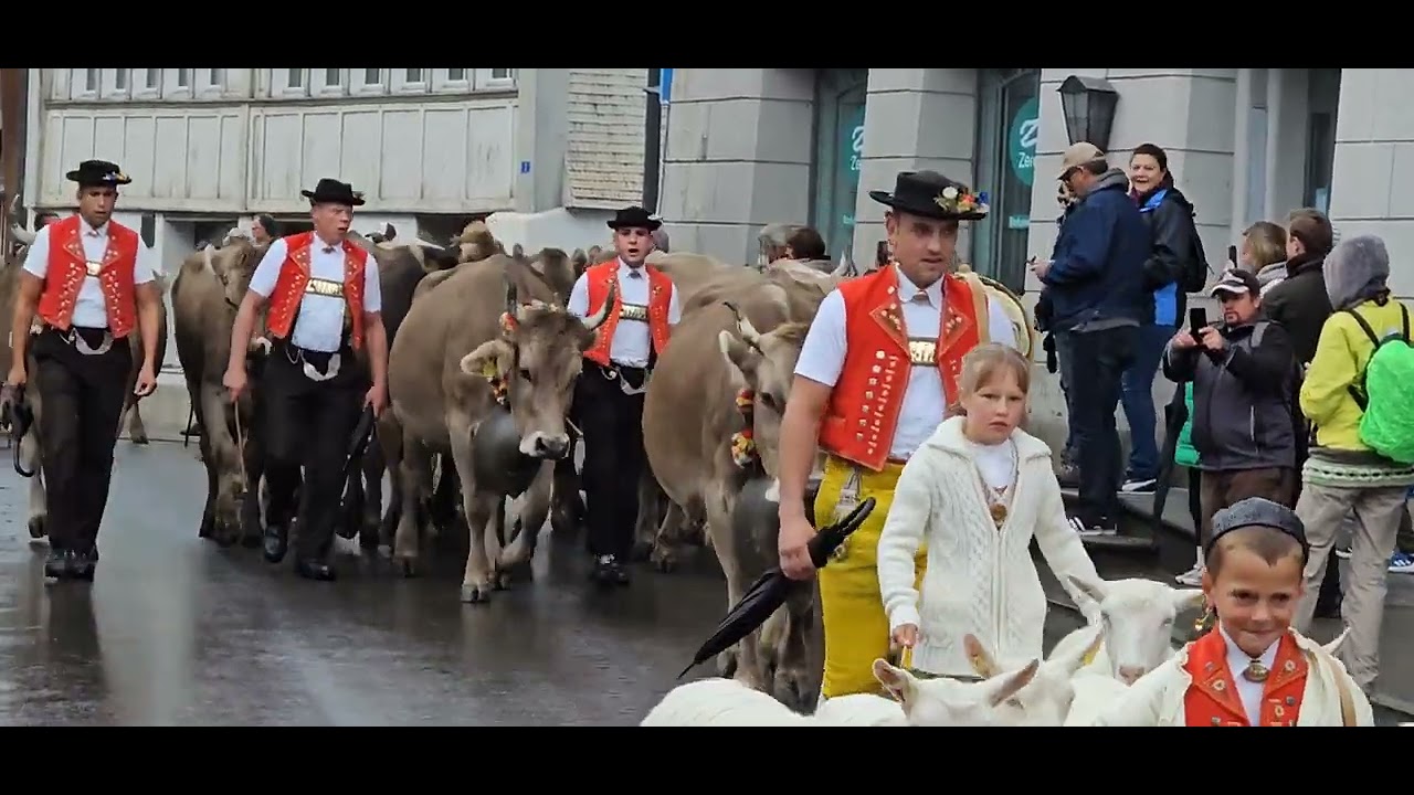 Alpabfahrt Urnäsch  2024