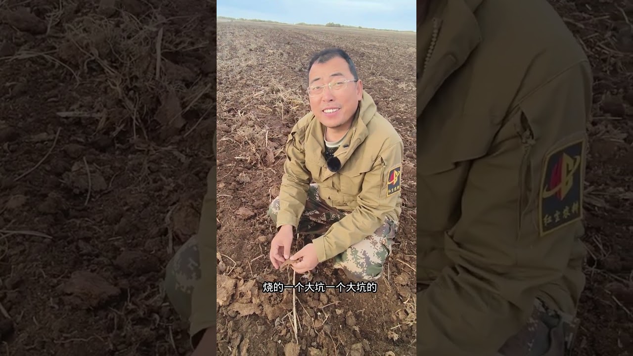 草炭地上的耘耕机 #dou上热门 #三农 #新农人计划 #心系三农服务三农