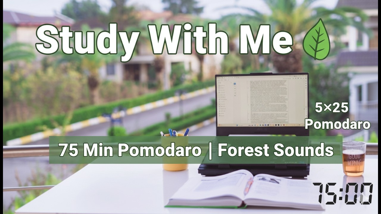 Calm Study Session 🌿 Pomodoro 75 Min | Forest Ambience