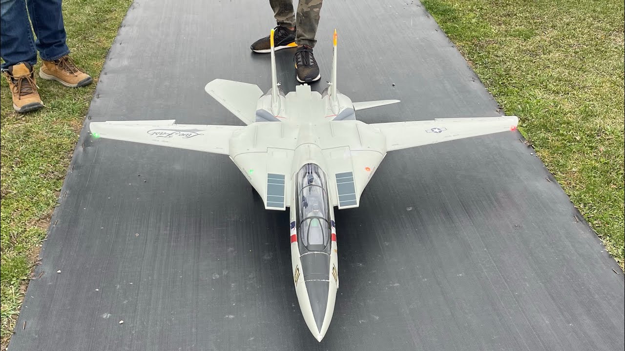 Freewing F-14 with 6CH radio!