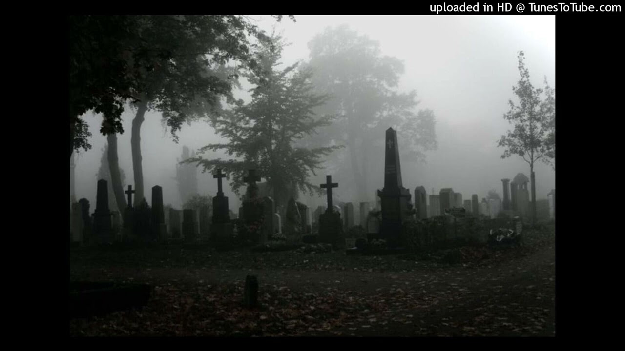 [FREE] BONES TYPE BEAT - 