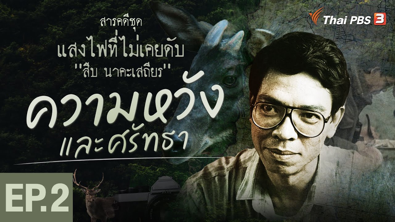 ความหวังและศรัทธา : สารคดี แสงไฟที่ไม่เคยดับ สืบ นาคะเสถียร