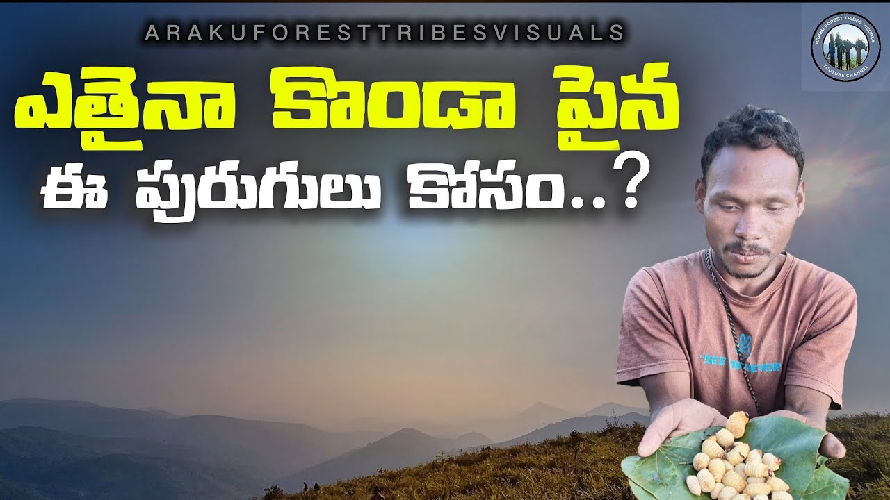 HIGHEST TOP HILLS || పురుగు ల కొసం సహసం కొండా పైన || ARAKU FOREST TRIBES VISUALS