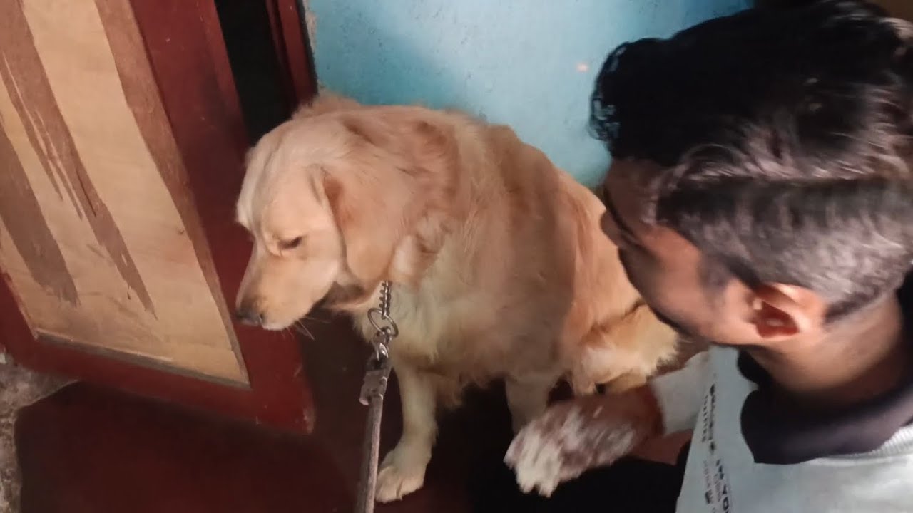 Orry ko khana khilana pada Bhari
