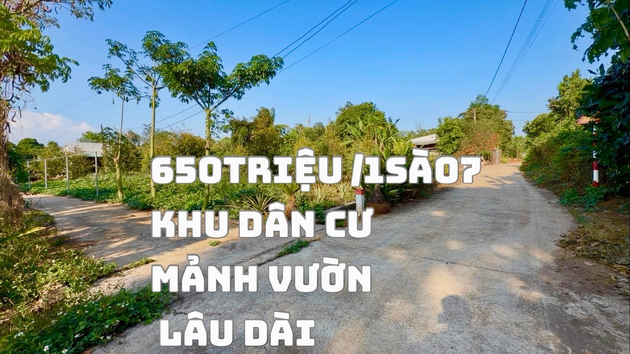 ☘️650Triệu Sở Hữu 1.712m2 Ngay Thị Trấn Làm Nhà Vườn Chill Chill Rất Tuyệt Vời Vị Trí tiện Đi Lại 