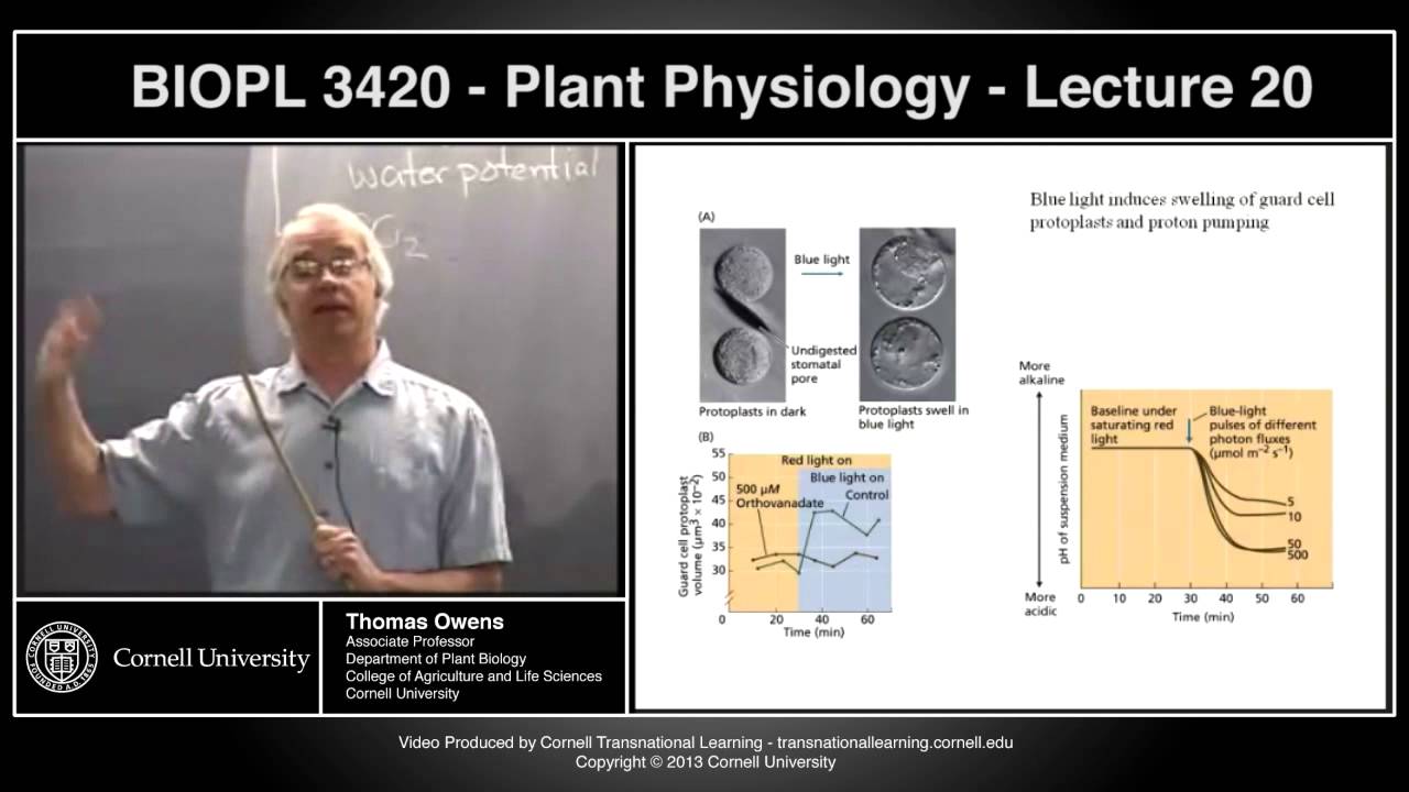 BIOPL3420 - Plant Physiology - Lecture 20