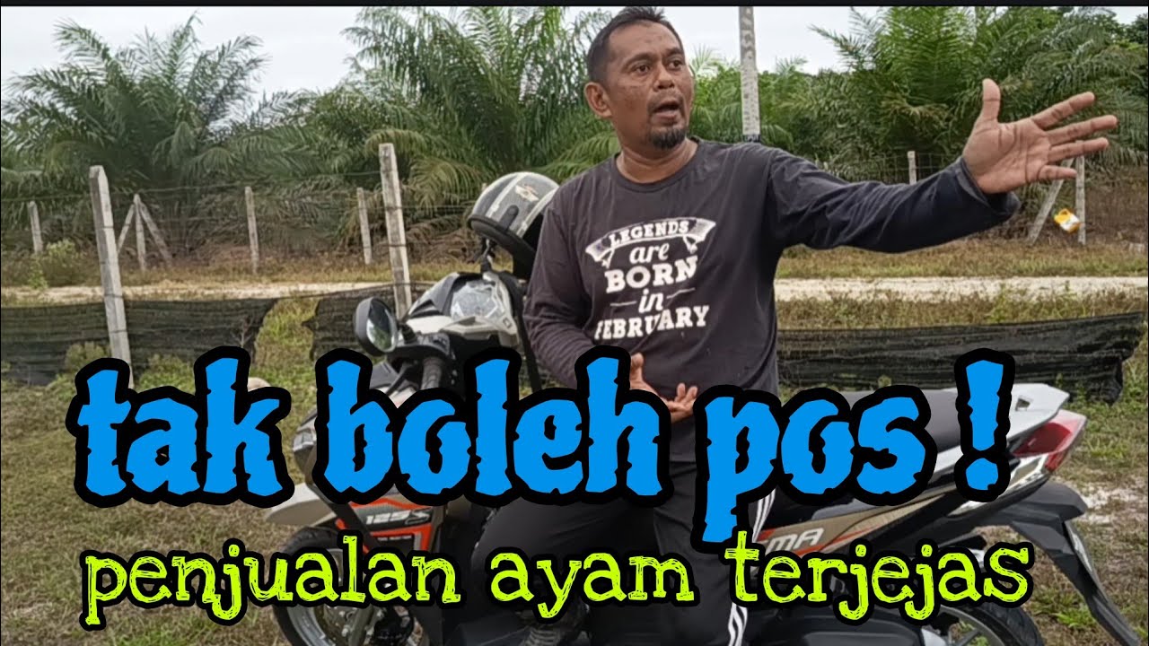 [Episod1621] penjual ayam seluruh negara tengah 'pening' macam mana nak pos ayam