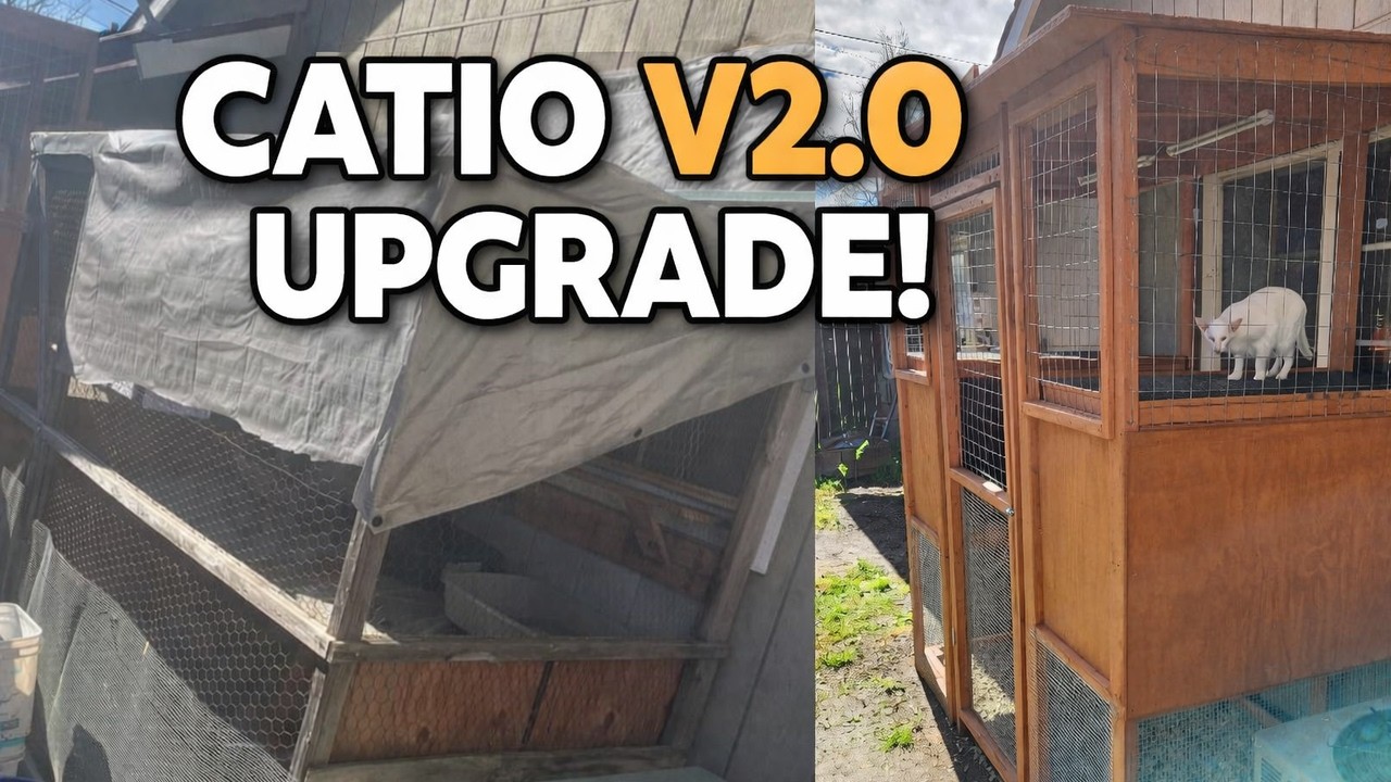 New catio for our cats litter boxes!