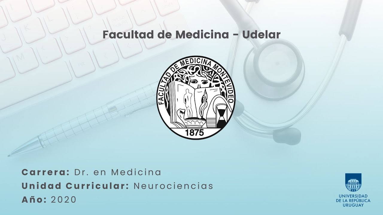 Aprendizaje y memoria - Parte 2
