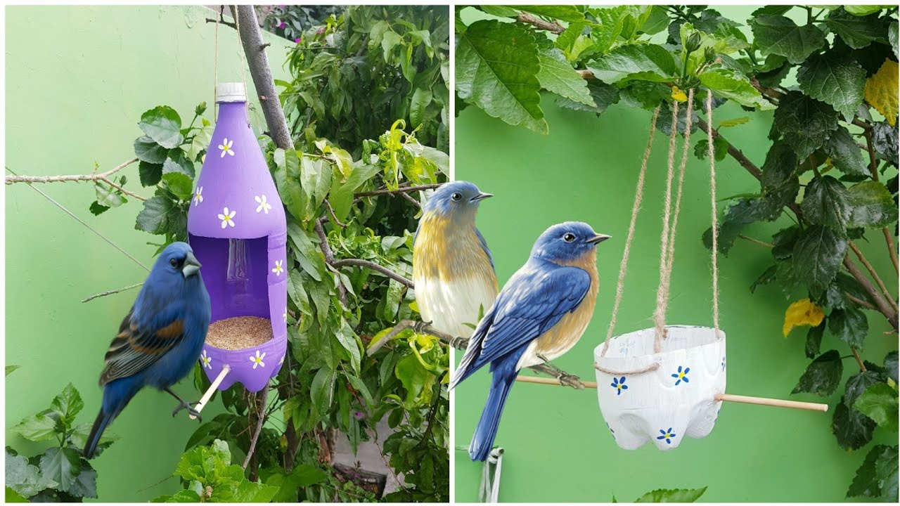 c&oacute;mo hacer un semillero y bebedero para aves 🕊 reciclando botellas de pl&aacute;stico 🐦🕊🤗🙋&zwj;♀️