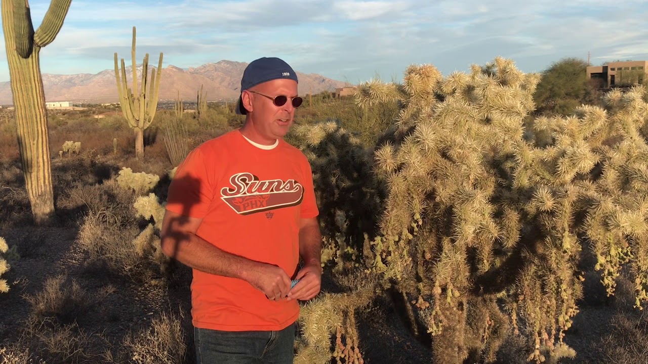 Shocking Encounter with Jumping Cactus