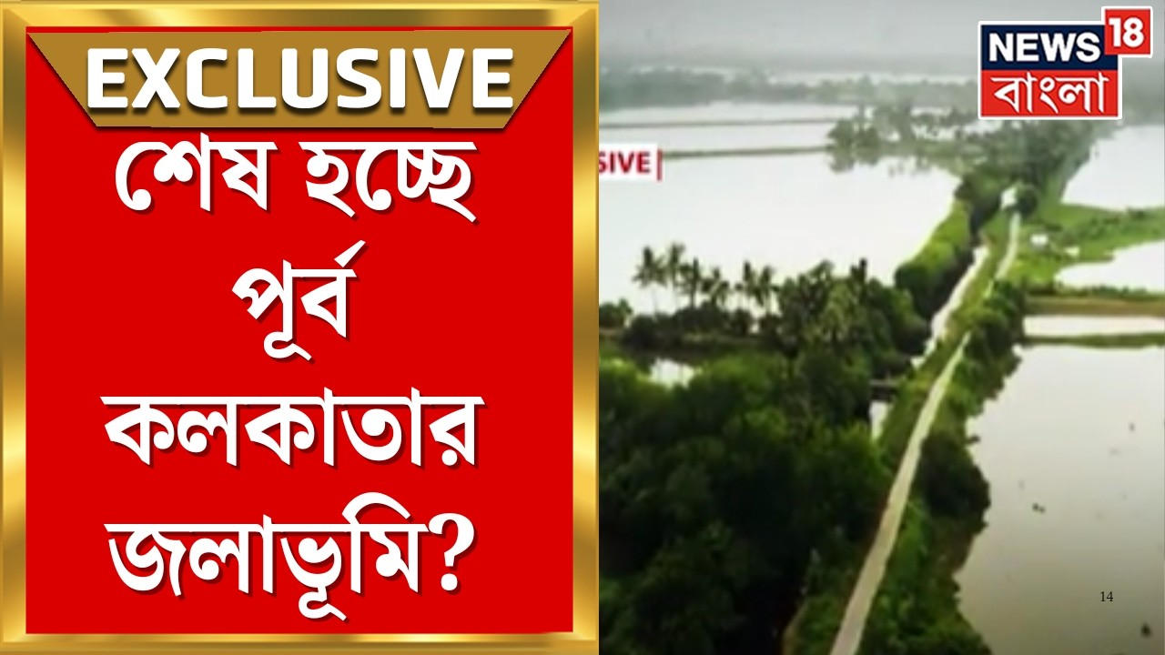 Kolkata News |  ধ্বংসের মুখে পূর্ব কলকাতার জলাজমি! শেষ সতর্কবার্তা বিশেষজ্ঞদের | Bangla News