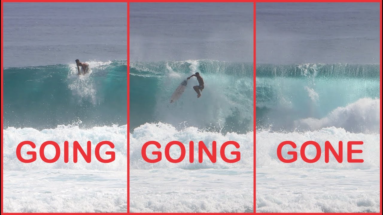 Disappearing Act At Remote Reef - 23 November 2020