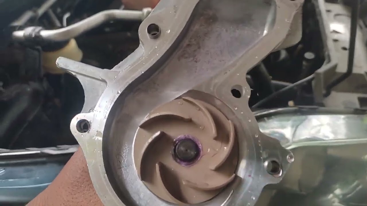 #10 Ford fiesta progres (paking water poom & termostat housing leak)