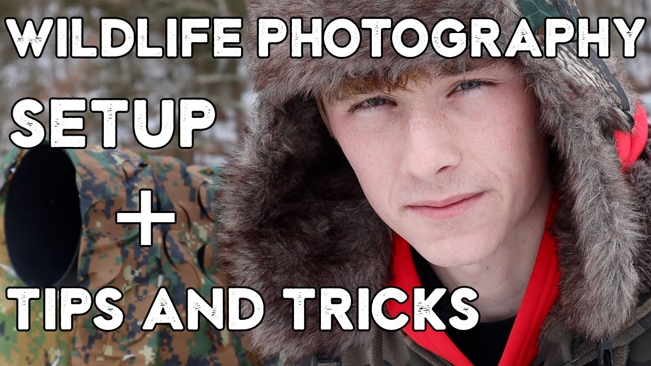 Wildlife Photography Setup and Tips and Tricks (Nikon D500 +Nikon 200-500mm)