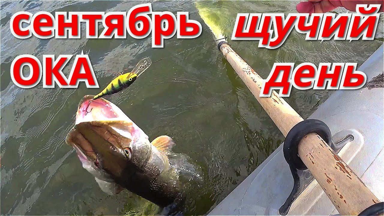 Рыбалка на ОКЕ на СПИННИНГ с ЛОДКИ. Это был ЩУЧИЙ ДЕНЬ.
