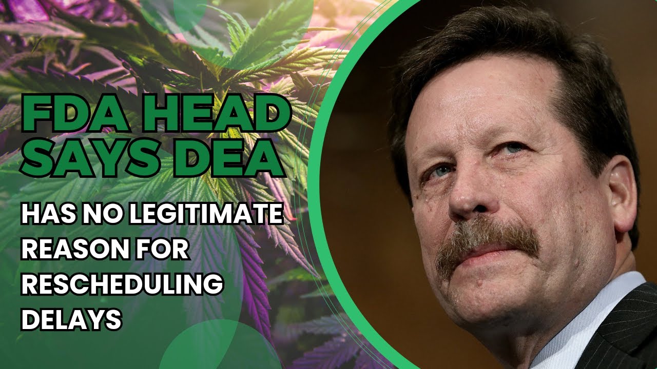 FDA Head Urges Immediate Marijuana Rescheduling