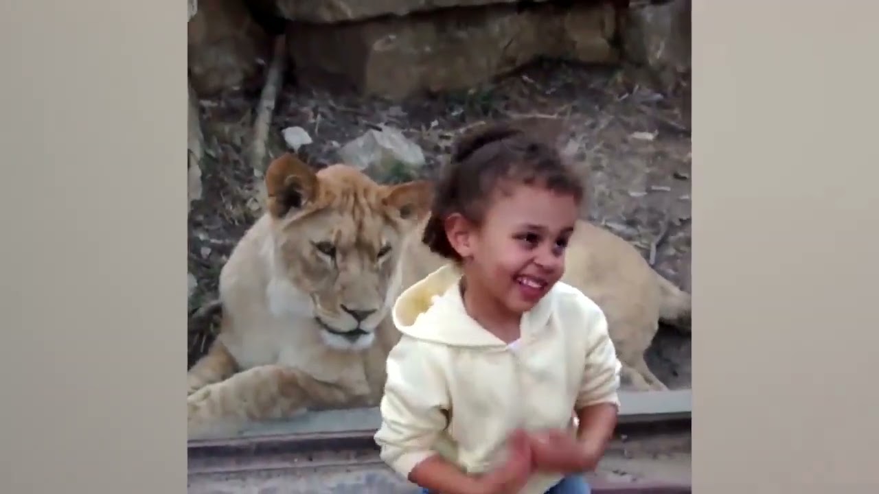 UNEXPECTED Animal ATTACKS! 2022